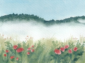 red flowers and morning fog